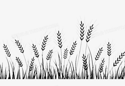 優質水稻PNG素材 免費下載與創意應用指南